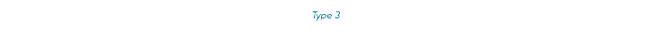 Type 3